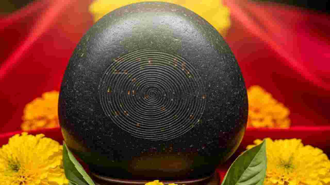 বাড়িতে একাধিক শালগ্রাম শিলা রাখা কি বাস্তুসম্মত? জ্যোতিষশাস্ত্র কী বলছে