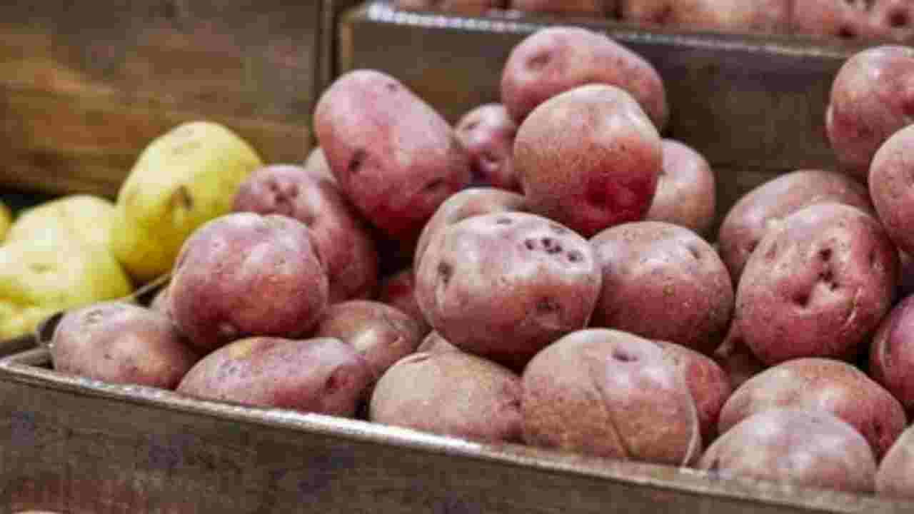 বাজারে ‘সুগার-ফ্রি আলু’: সত্য না বিজ্ঞাপনের ফাঁদ?