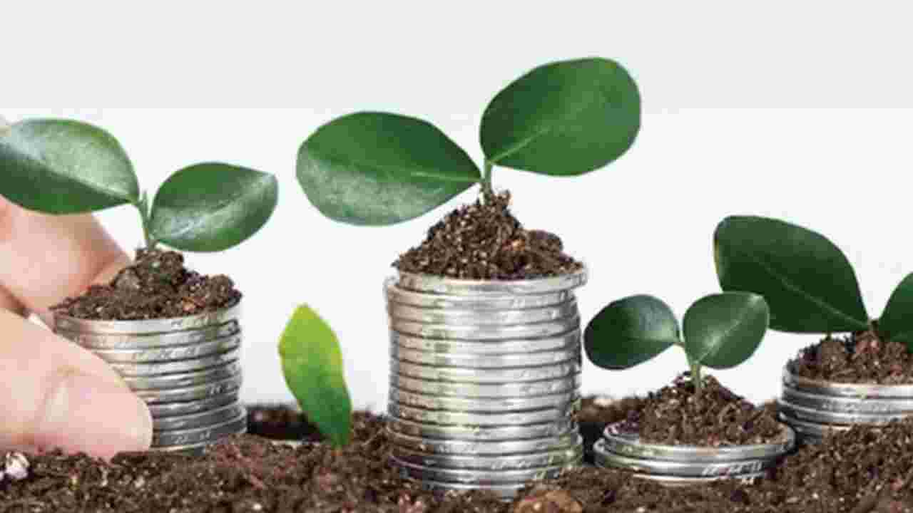 কয়েন প্ল্যান্টে খুলতে পারে ভাগ্যের তালা: বাস্তু মতে অর্থ ও শুভ শক্তি টানার সহজ উপায়