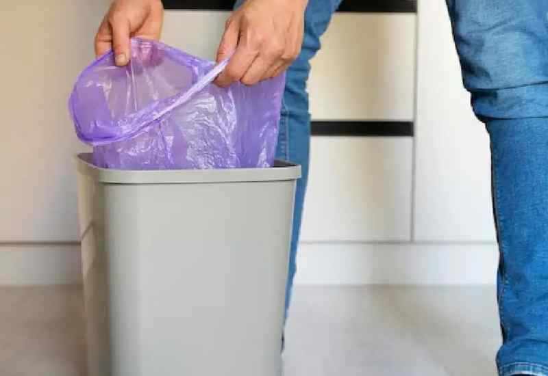 Vastu: আর্থিক সঙ্কট ও দাম্পত্য অশান্তি? ডাস্টবিনের ভুল দিকেই কি বাড়ছে সমস্যা!