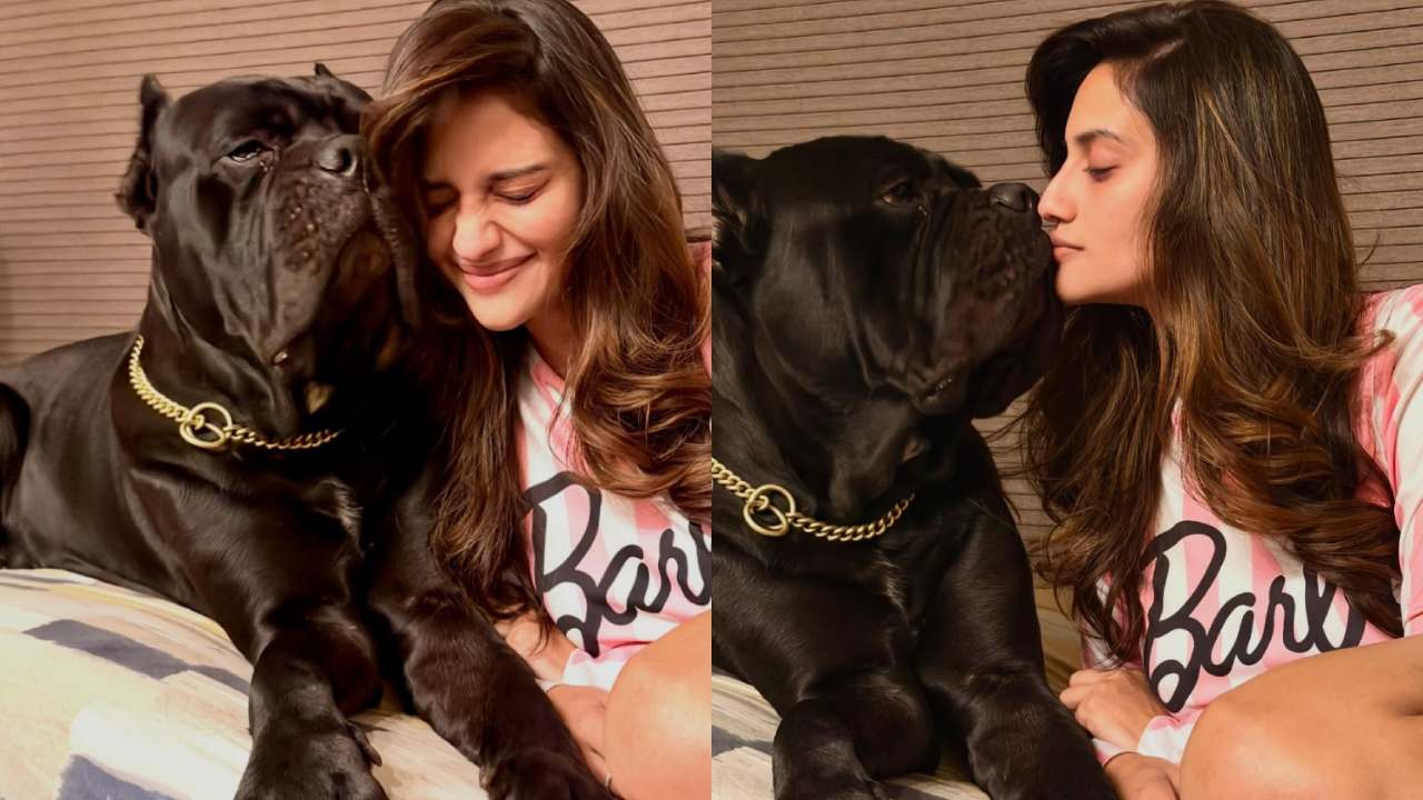 Picsart 26 02 06 14 46 44 616