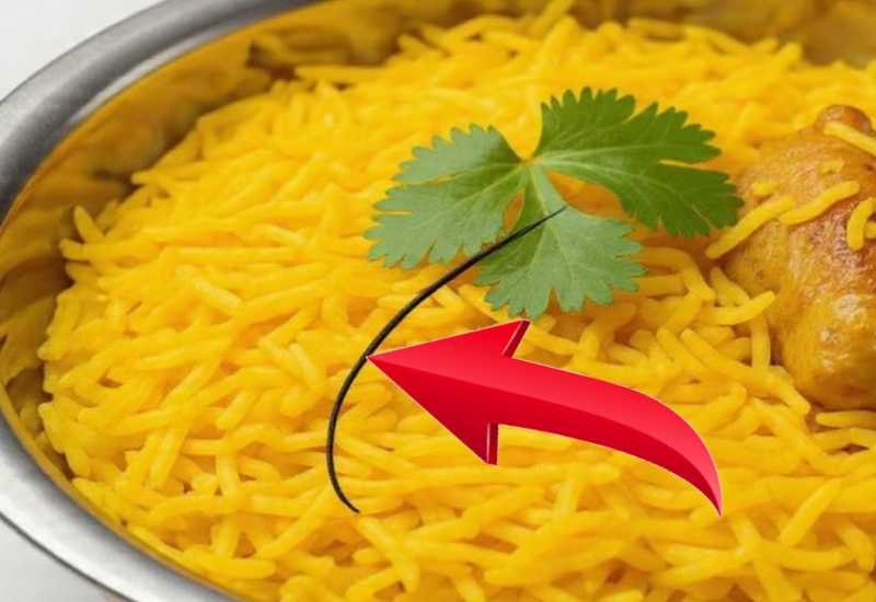 খাবারে চুল পড়া কি শুধুই দুর্ঘটনা? জ্যোতিষ মতে এর পেছনে লুকিয়ে অশুভ ইঙ্গিত