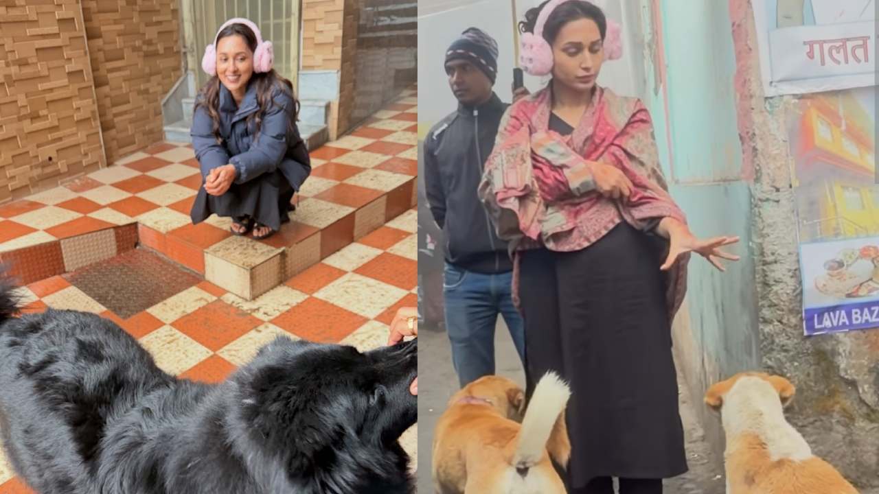 Picsart 26 03 14 10 05 55 974