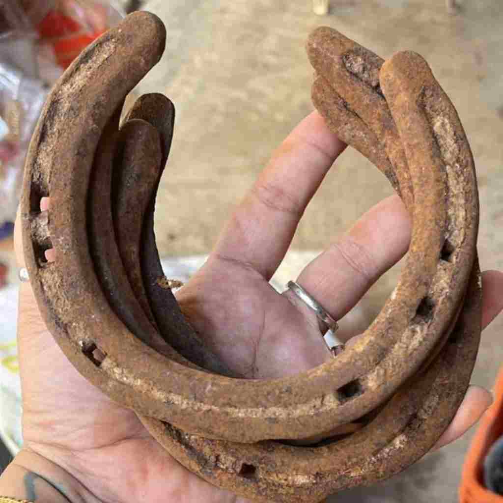 ঘোড়ার নাল