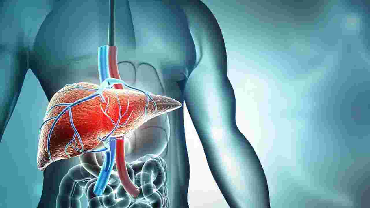 ধূমপান শুধু ফুসফুস নয়, লিভারেরও বড় শত্রু—প্যারাসিটামল নিয়েও সতর্কবার্তা চিকিৎসকের