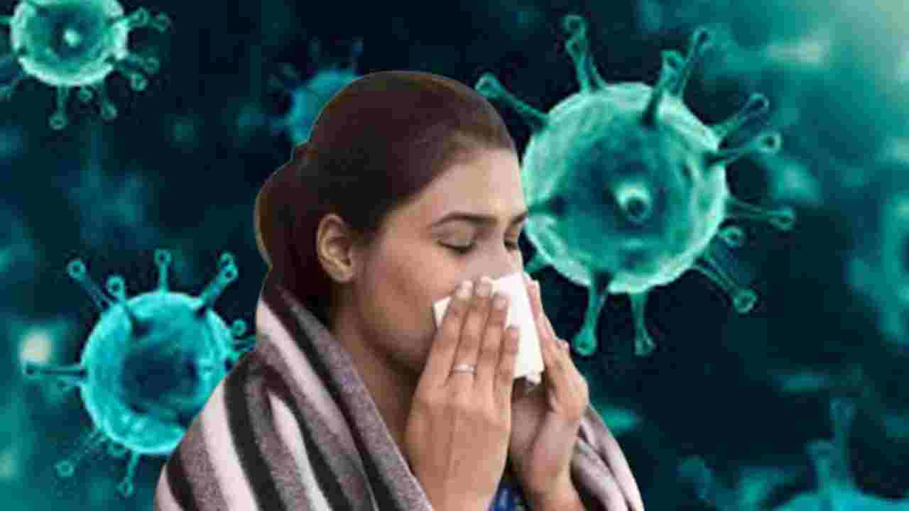 গরমের শুরুতেই ঘরে ঘরে জ্বর-পেটের রোগে উদ্বেগ, কী বলছেন চিকিৎসকরা?