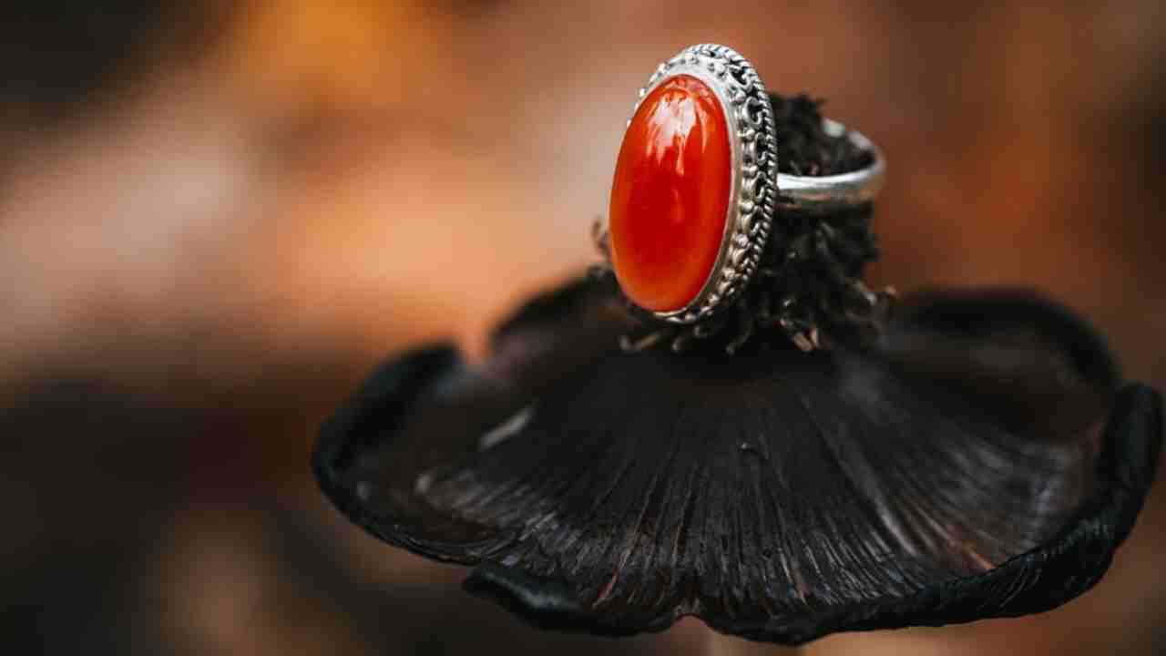 লাল পলা পরলেই বদলাতে পারে ভাগ্য! এই ৫ রাশির জন্য বিশেষ শুভ