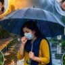 গরমের পর হঠাৎ বৃষ্টি: কোন কোন রোগের বাড়ছে ঝুঁকি?