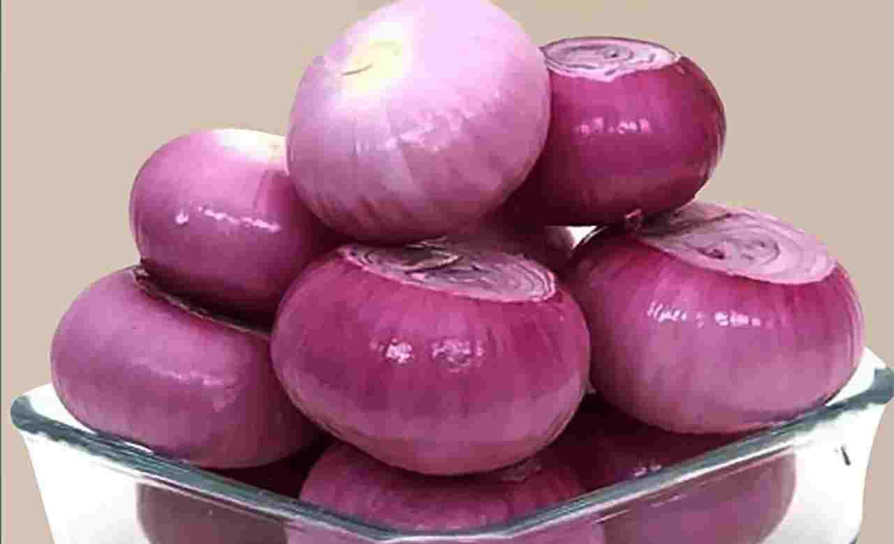 গরমে কাঁচা পেঁয়াজ কতটা উপকারী? হিটস্ট্রোক থেকে হজম—জানুন বিশেষজ্ঞদের মত