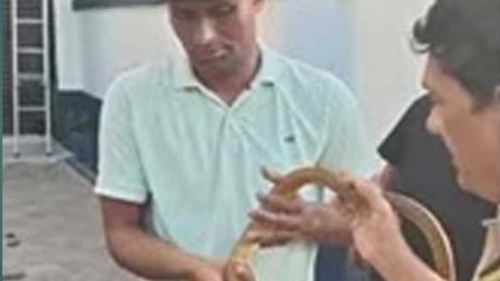 সলমনের বাসভবন থেকে উদ্ধার সাপ
