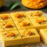 Lifestyle: আমের মরশুমে ঘরেই বানান রেস্তরাঁ-স্টাইল ‘আম ভাপা দই’, সহজ রেসিপিতে জমে যাবে শেষপাতে