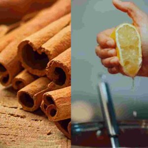 Lifestyle: গরমে লাল পিঁপড়ের উৎপাত? রান্নাঘরের ৪ উপাদানেই মিলতে পারে সহজ সমাধান