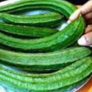 Recipe: কম মশলায় স্বাস্থ্যকর রান্না, ঝিঙে ও পনিরের যুগলবন্দিতে বাড়ুক স্বাদের মাত্রা