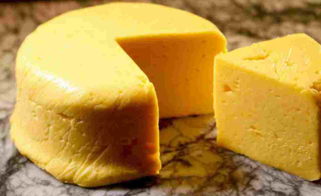 Recipe: বাজারের চিজ়ে ভেজালের আশঙ্কা? অল্প উপকরণে ঘরেই বানিয়ে নিন স্বাস্থ্যকর চিজ়