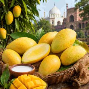 Lifestyle: দুধিয়া মালদা: নবাবের বাগান থেকে বিশ্বমঞ্চে, বিস্মৃতির পথে এক কিংবদন্তি আম
