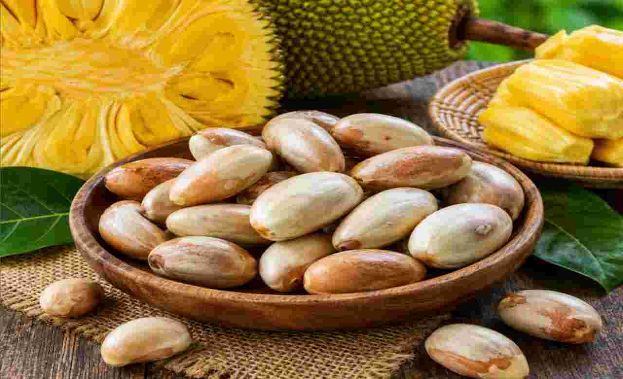 Lifestyle: কাজু-আমন্ড নয়, কাঁঠালের বীজই হতে পারে পুষ্টির ভাণ্ডার! জানুন কেন একে বলা হচ্ছে ‘সুপারফুড’