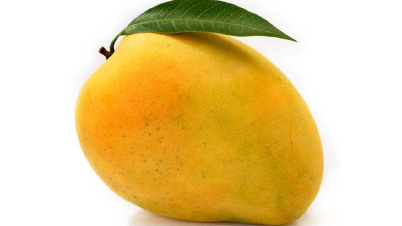 Mango