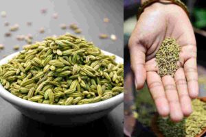 Lifestyle: ভারী খাবারের পর মৌরি খাওয়ার অভ্যাস কি সত্যিই উপকারী? জানুন এর স্বাস্থ্যগুণ ও সঠিক নিয়ম