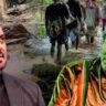 জুবিনের রাজ্যে ভয়াবহ বন্যা, পাশে সলমন খান? ত্রাণ পৌঁছে দেওয়ার উদ্যোগে জোর জল্পনা