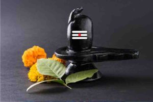 শ্রাবণে শিবপূজা সম্ভব না হলে? মহাদেবের কৃপা পেতে যত্ন নিন এই ৪ পবিত্র গাছের