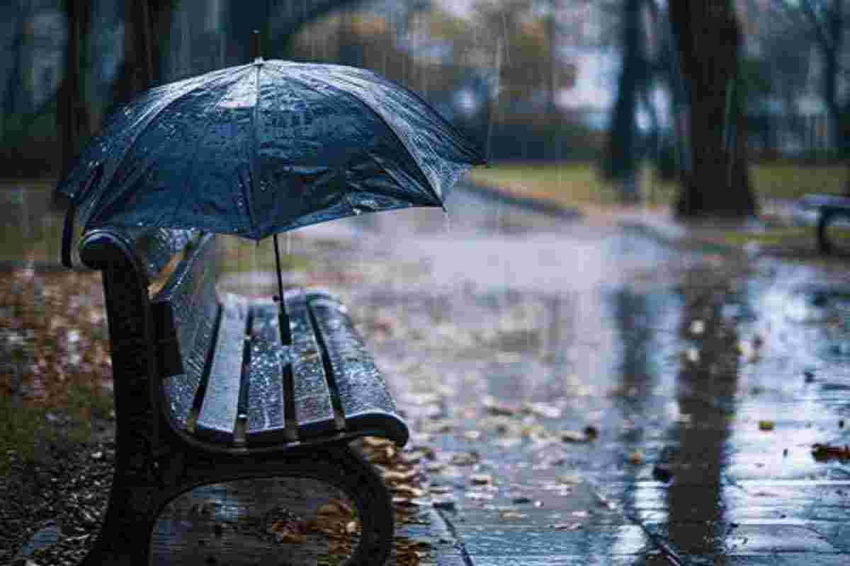 বর্ষায় বারবার ছাতা হারান? এই ৫ সহজ অভ্যাস বদলালেই আর হবে না সমস্যা