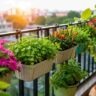 বারান্দায় জায়গা নেই? শুধু রেলিং ব্যবহার করেই গড়ে তুলুন ফুল-সবজির ঝুলন্ত বাগান