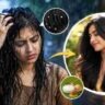বৃষ্টিতে চুল ভিজলে কোন ভুলগুলি করবেন না? বর্ষায় সুস্থ চুল রাখতে মানুন এই সহজ নিয়ম