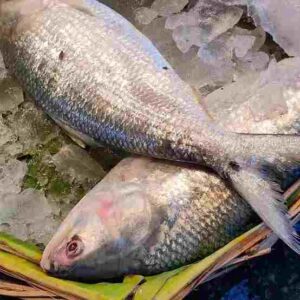 Recipe:বর্ষার দুপুরে গরম ভাতের সেরা সঙ্গী, সহজেই বানান পূর্ববঙ্গের কাসনপোড়া ইলিশের ঝোল