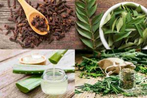 Hair Care: মেথির জলে যোগ করুন ৪ ভেষজ, চুলের যত্নে মিলতে পারে আরও বেশি উপকার