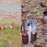 নেপালের বন্যায় ভেসে আসা সিলিন্ডার-সহ সামগ্রী লুটের অভিযোগ, ভাইরাল ভিডিও ঘিরে নিন্দার ঝড়