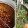 হাঁড়ি হাঁড়ি বিরিয়ানি, কেজি কেজি মাংস ফেলা হল নালায়!