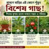 Sawan Vastu Plants
