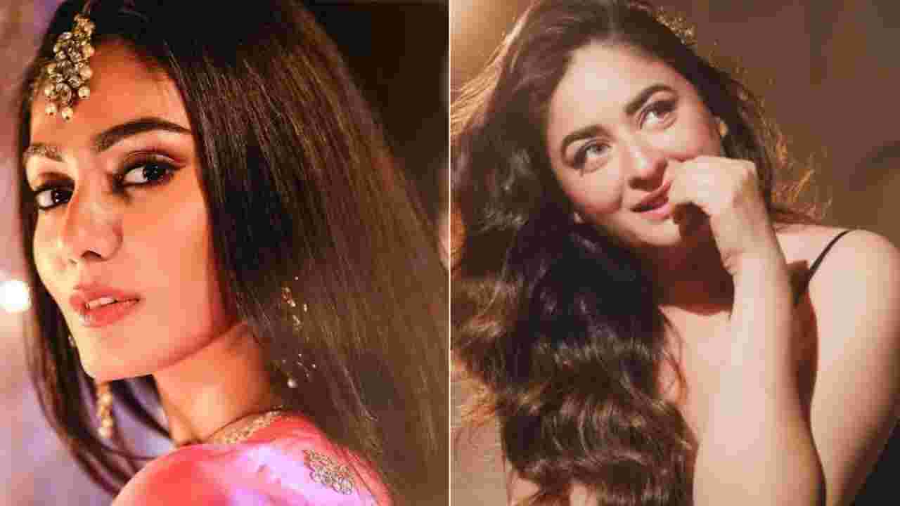 ‘ও একটা আবর্জনা, নর্দমার মতো মানসিকতা’, সানা মকবুলের নিশানায় মাহি ভিজ! জোর চর্চা নেটপাড়ায়