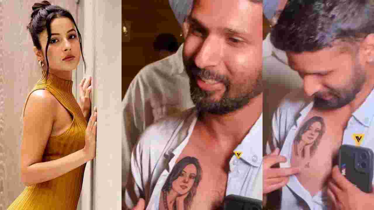বুক চিড়ে শেহনাজের মুখের ট্যাটু, ভক্তের কাণ্ড দেখে হতবাক অভিনেত্রী! ভাইরাল ভিডিও