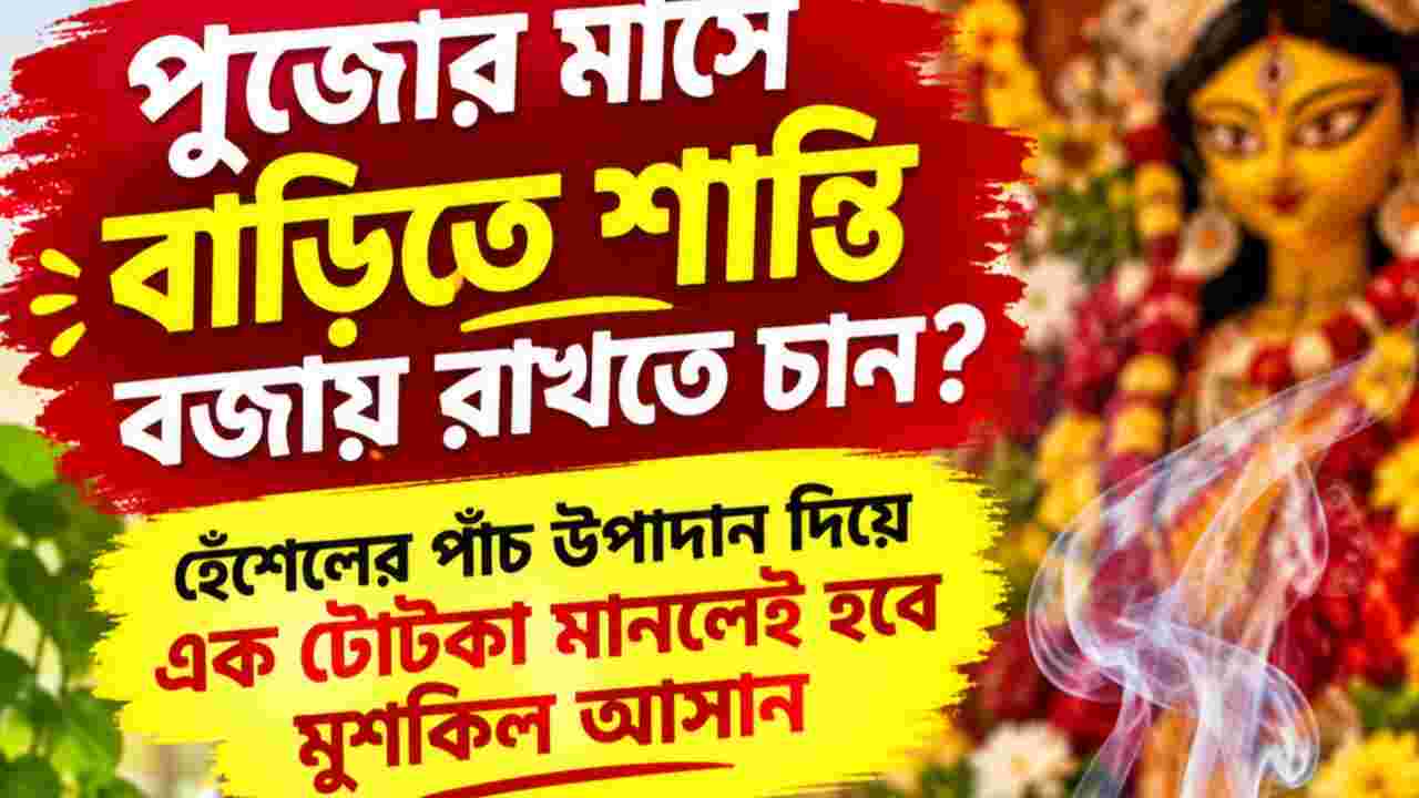 Vastu Tips: পুজোর মাসে বাড়িতে শান্তি বজায় রাখতে চান? হেঁশেলের এই উপাদান দিয়েই মানুন সহজ টোটকা
