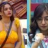 Bigg Boss Bangla: ‘এমন ইনজুরি হয়েছিল, মা হওয়া নিয়েও…’, নন্দিনীর বিরুদ্ধে গুরুতর অভিযোগ সৃজলার